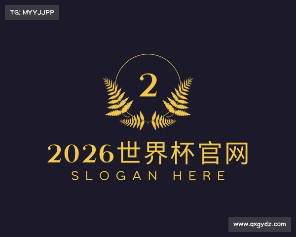 解读世界杯官网